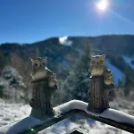 Le Des 4 Chouettes Шале Жерарме