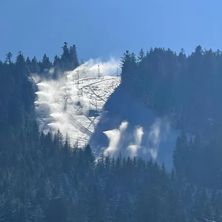 Le Des 4 Chouettes Chalet Gerardmer