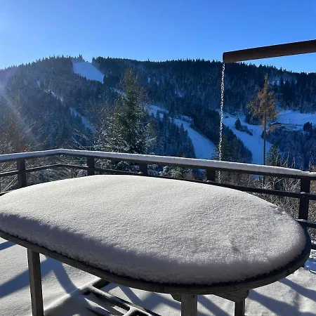 Chalet Le Des 4 Chouettes
