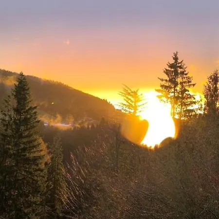 Le Des 4 Chouettes Gérardmer