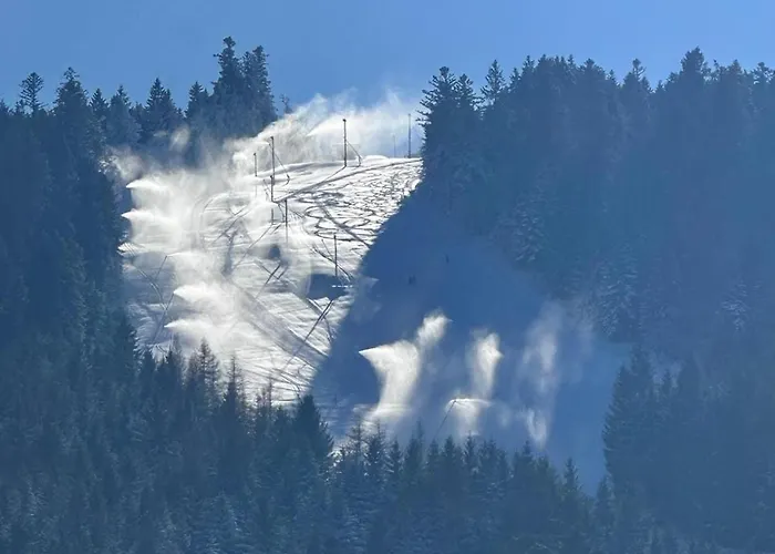 Le Des 4 Chouettes Chalet Gerardmer