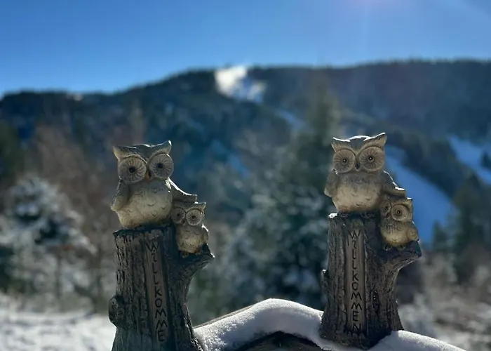 Le Des 4 Chouettes Chalé Gérardmer